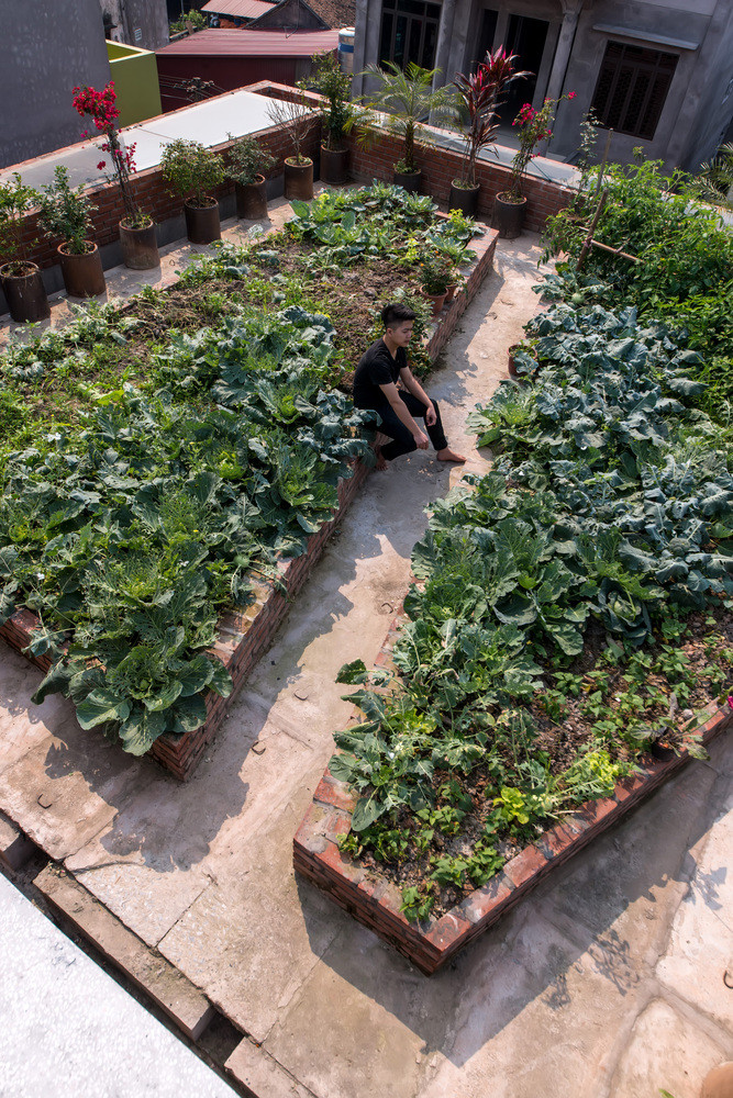 Trên nóc nhà có một vườn rau, mô phỏng lại chính vườn rau tại khu đất này trước khi ngôi nhà được xây dựng. Ảnh: Nguyen Tien Thanh