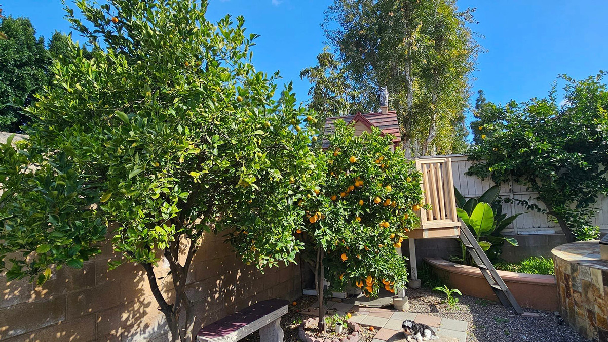 Căn nhà của Dũng Taylor và Thu Phương có tổng diện tích hơn 700m2, trong đó diện tích nhà 225m2, và 500m2 dành cho sân vườn.