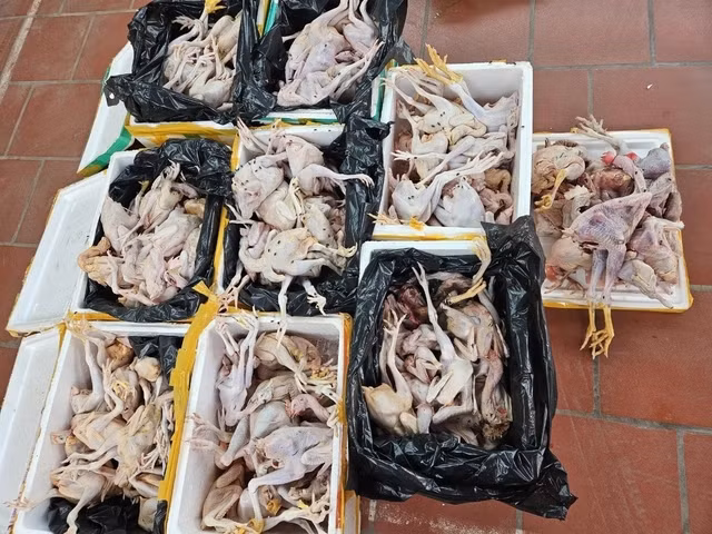 Gan 200kg thit ga hoi thoi tren duong giao den cac diem ban