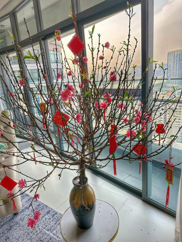 Tuy nhiên, năm nay siêu mẫu Hà Anh thay đổi kế hoạch không ra Bắc ăn Tết. Dù vậy, những ký ức hoài niệm về Tết xưa bên gia đình vẫn được chân dài lưu giữ.