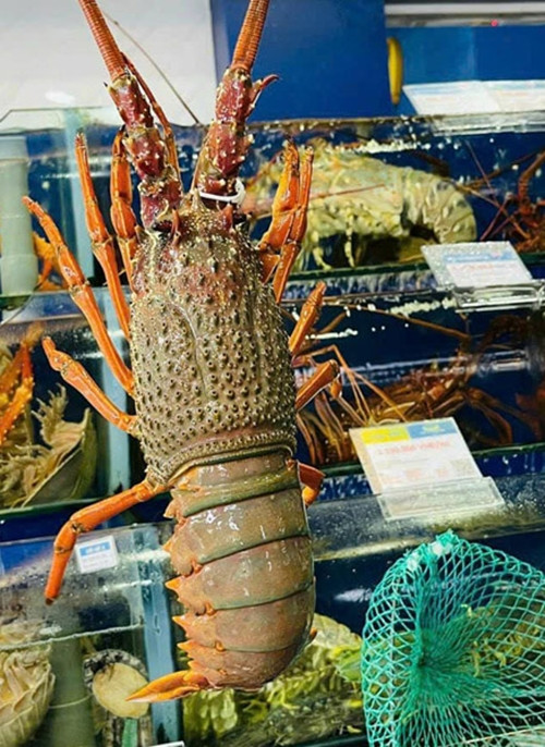 Thậm chí, với hàng ngất, khách mua cũng phải đặt trước vì không có đủ để bán. Ảnh: Hieuhaisan