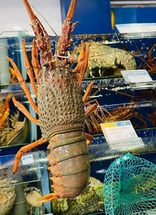 Thậm chí, với hàng ngất, khách mua cũng phải đặt trước vì không có đủ để bán. Ảnh: Hieuhaisan