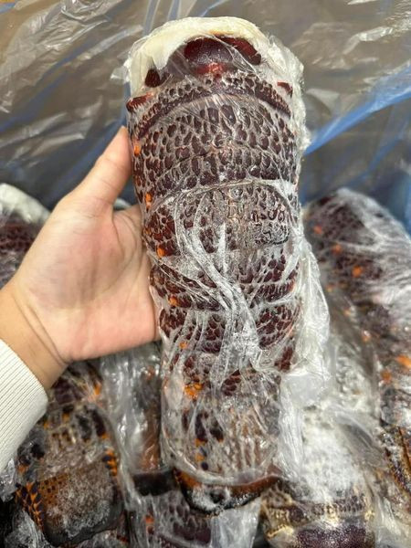 Theo người bán, đuôi tôm hùm Úc được tách từ những con tôm hùm vừa được đánh bắt và bảo quản lạnh ngay. Ảnh: Facebook