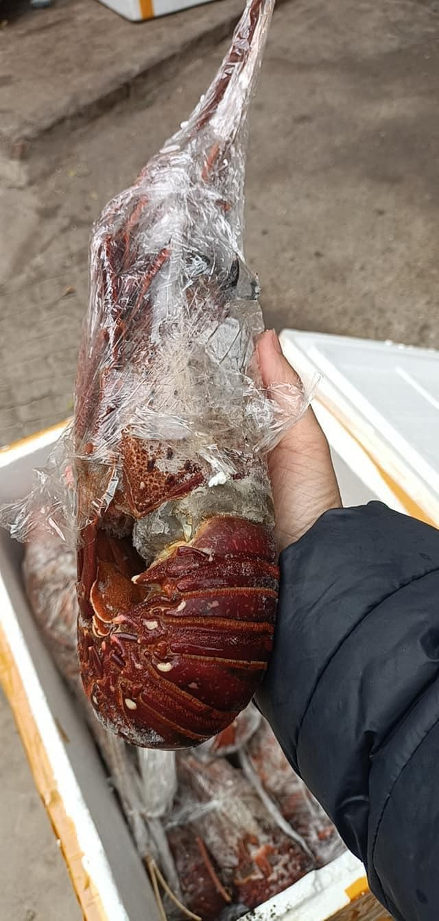 Với hàng đông lạnh, người tiêu dùng khó biết được sản phẩm đó đã bảo quản bao lâu và chất lượng ra sao. Ảnh: Facebook