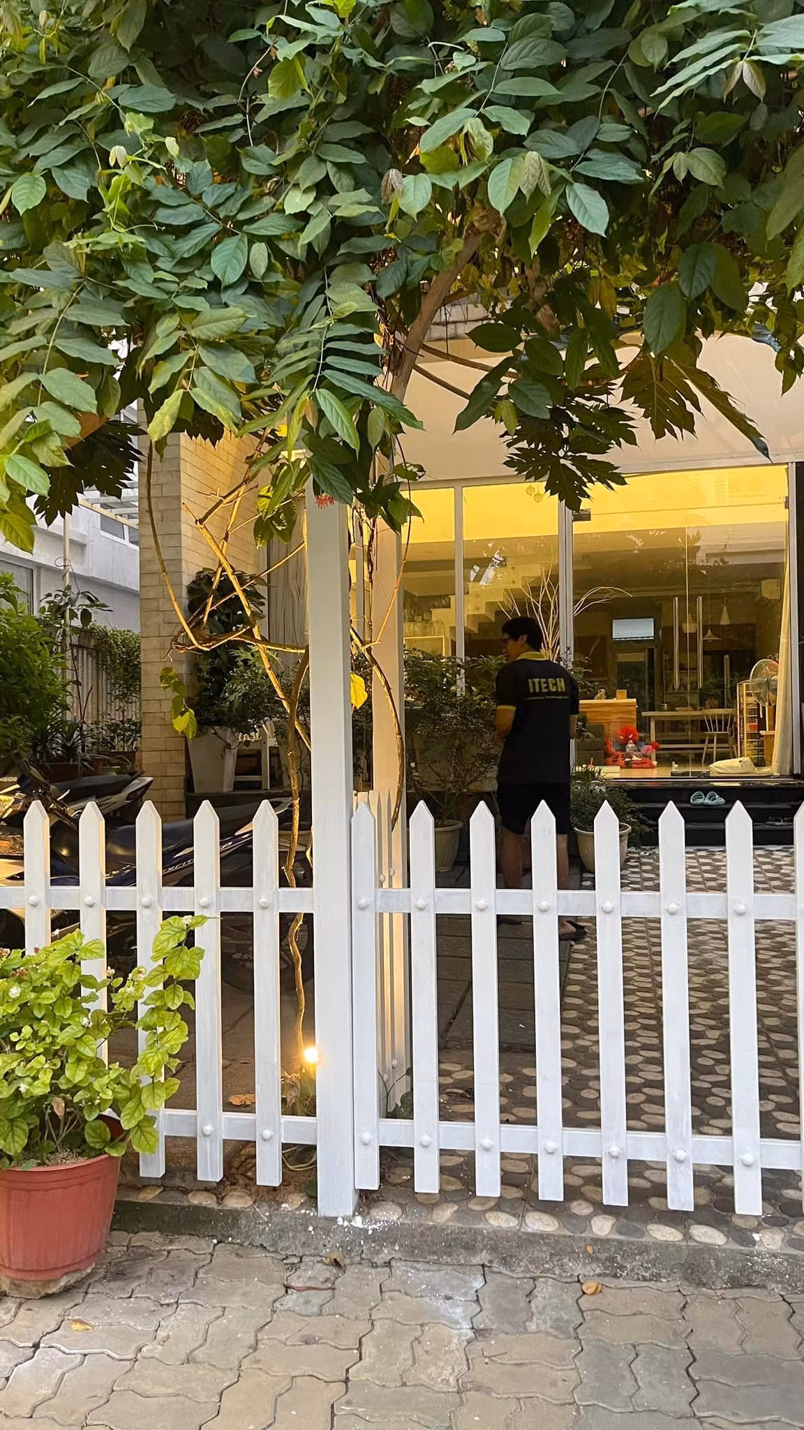 Bao quanh cổng nhà là hàng rào trắng bao quanh.