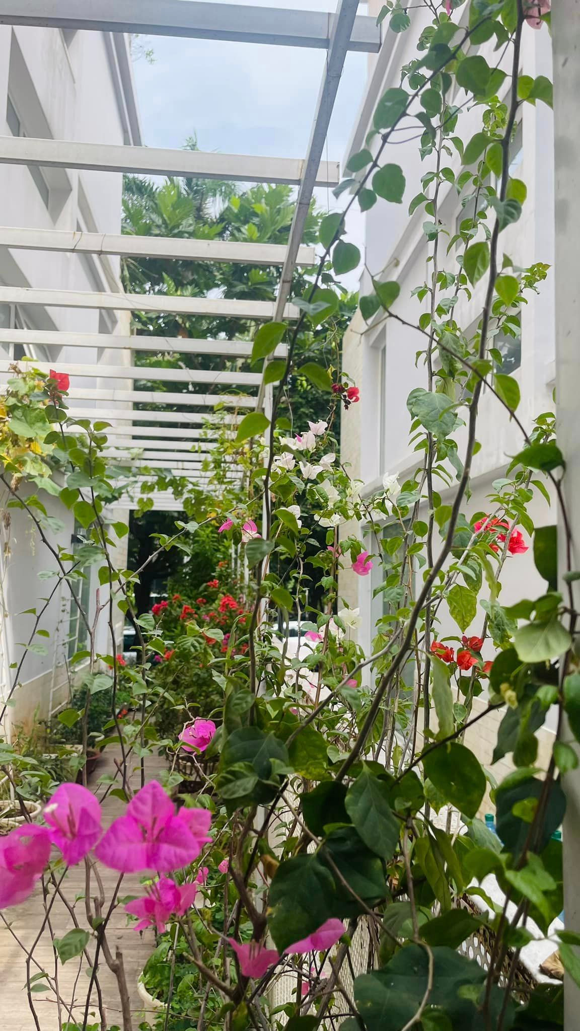 Ấn tượng nhất là khu vườn ngập sắc hoa.