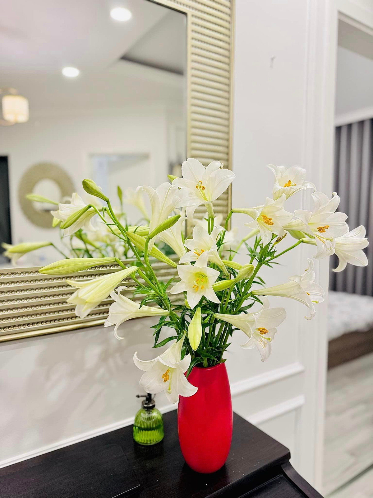 Loa kèn dịu dàng, e ấp. Ảnh: FB Trần Minh Trang