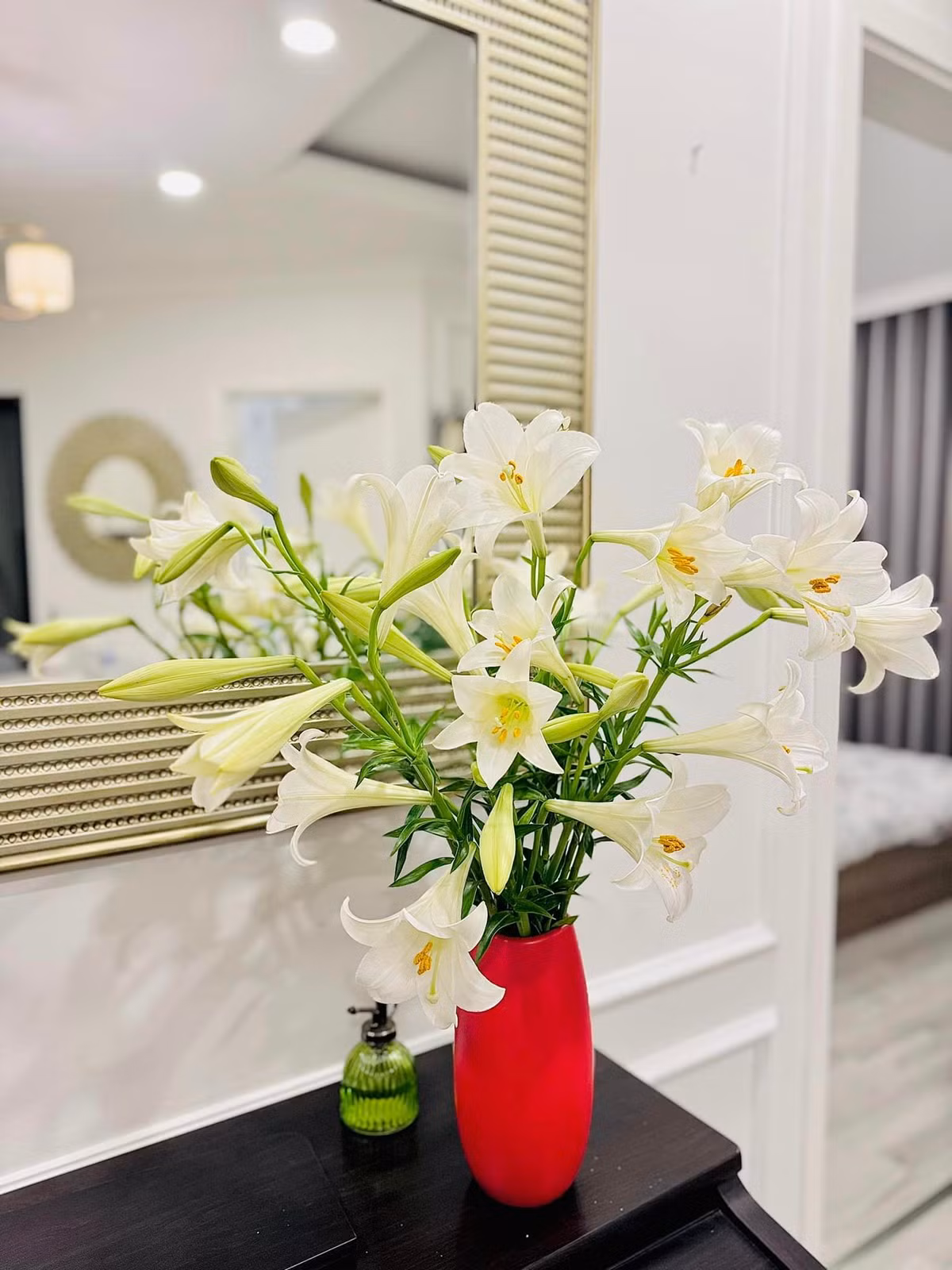 Loa kèn dịu dàng, e ấp. Ảnh: FB Trần Minh Trang