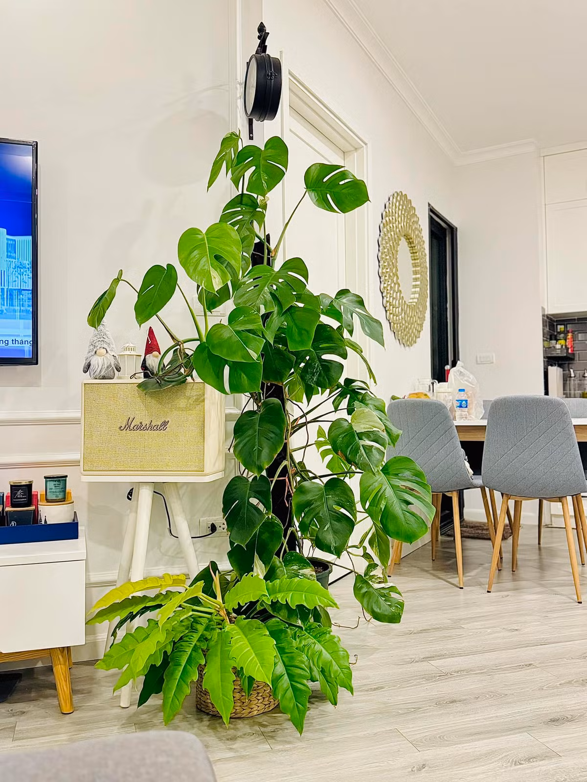 Một góc khác tràn ngập màu xanh trong căn hộ của BTV Khánh Trang. Ảnh: FB Trần Minh Trang