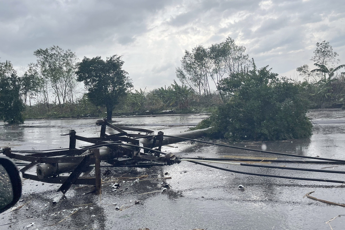 Cây cối cũng bị gió quật gãy ra đường. Ảnh: QMG