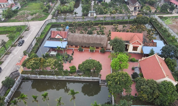 Không chỉ dùng để dệt chiếu, người dân Ninh Bình còn cây cói để lợp mái, tạo nên những ngôi nhà mái bổi đẹp mắt. Ảnh: Daidoanket