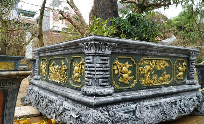 Cây đào đã được đưa vào chậu, chờ khách đón về chơi Tết. Ảnh: Dân trí