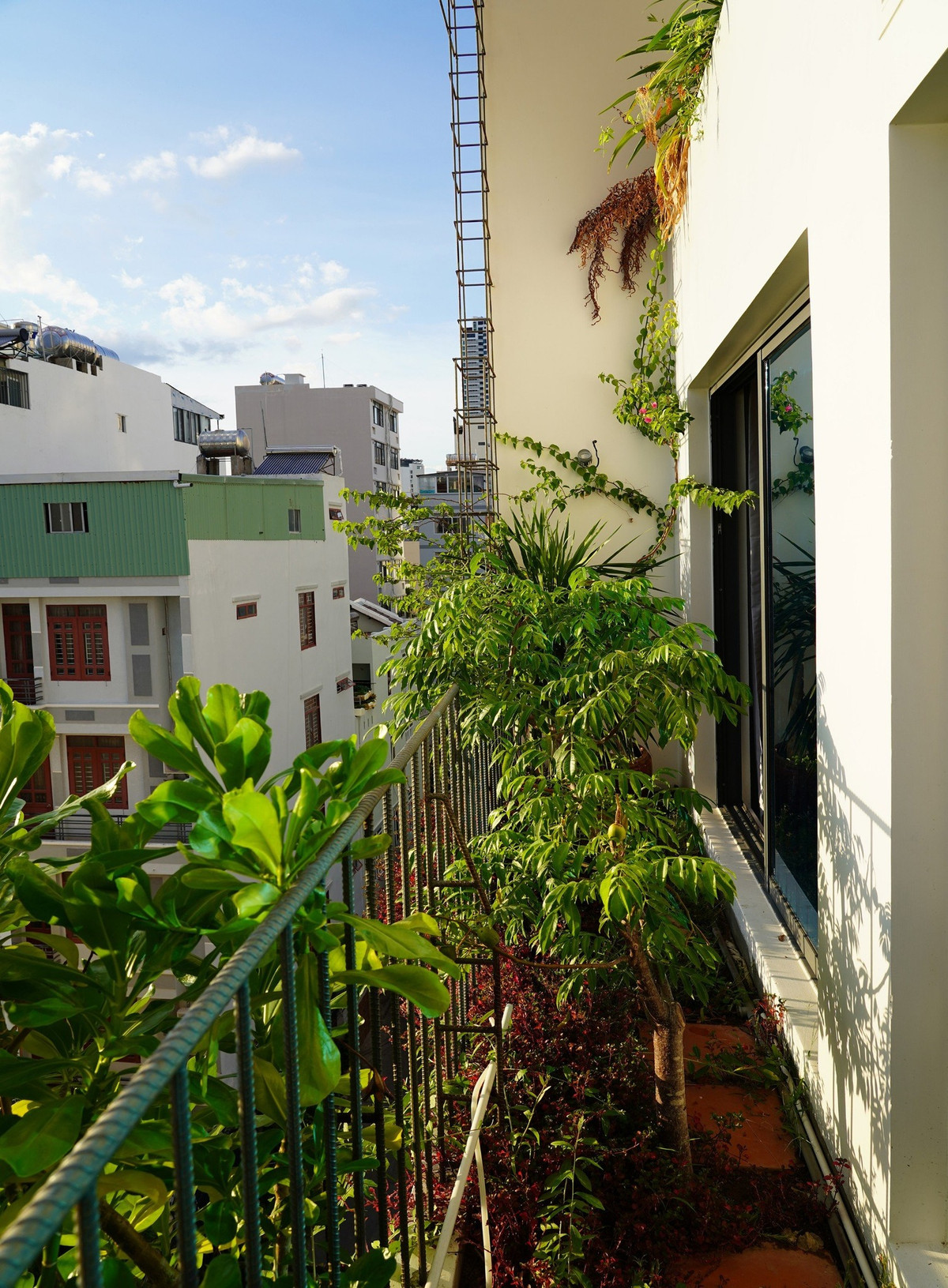 Những khoảng xanh đủ rộng được thiết kế dành cho các hoạt động ngoài trời. Ảnh: Ladesignstudio