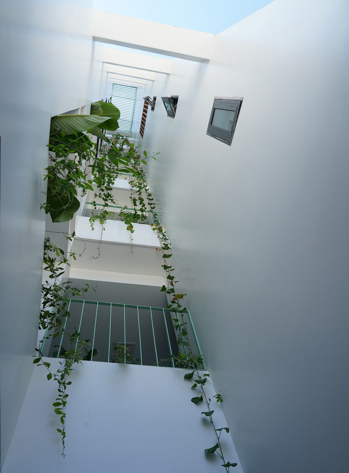 Các không gian chức năng được đặt sole, tạo nên những khoảng thông tầng đủ cho cây xanh phát triển. Ảnh: Ladesignstudio