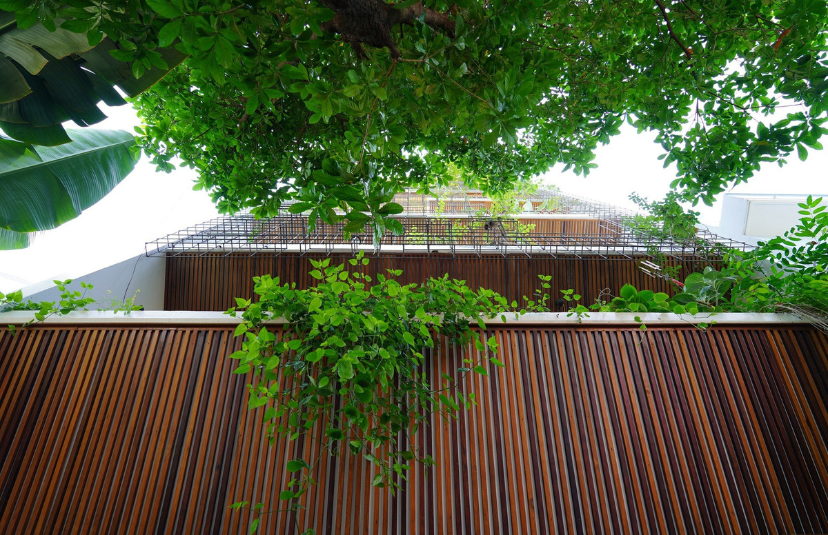 Thay vì có khoảng sân lớn như đa số hiện nay, kiến trúc sư tạo ra đa dạng khoảng sân vườn ở các cao độ khác nhau, phù hợp với cấu trúc nhà phát triển theo chiều cao và cả chiều ngang. Ảnh: Ladesignstudio