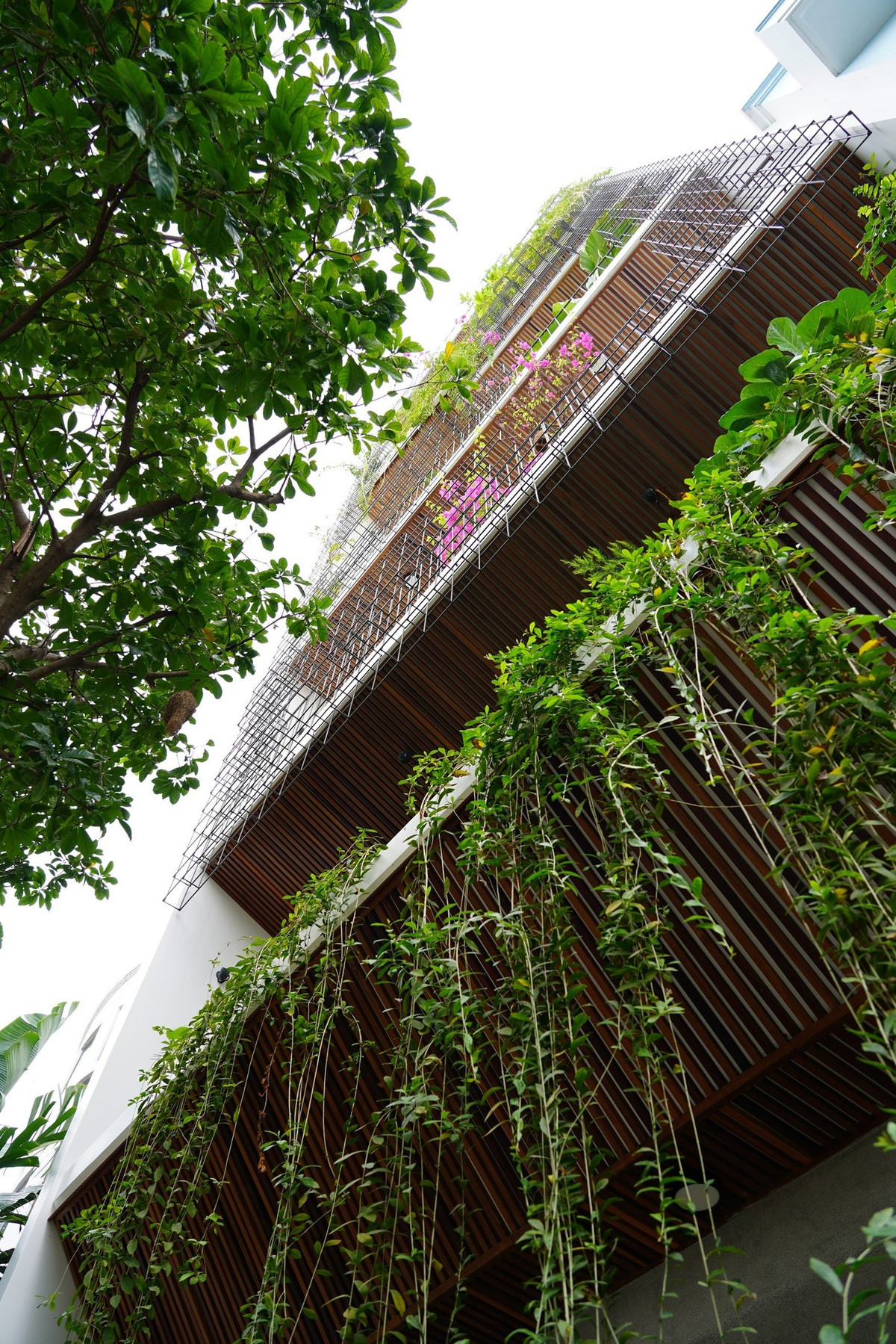 Mỗi phòng chức năng đều có một khu vườn xanh và sân chơi trên mái. Ảnh: Ladesignstudio