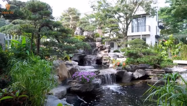 Bao quanh ngôi nhà là sân vườn rộng 300m2, riêng bể cá Koi đã hơn 100m2. Bể cái Koi hàng trăm con cùng thác nước chảy róc rách tạo góc thư giãn cho gia chủ.