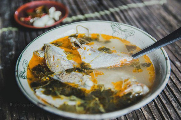 Trước kia, chua me đất được xem như cây dại, có vị chua thanh, được người dân địa phương hái về nấu canh chua. Ảnh: Internet