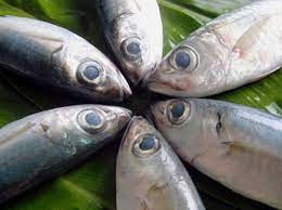 Mắt và mang cá là một chỉ số quan trọng để đánh giá tình trạng tươi ngon. Mắt trong suốt, sáng bóng và mang cá đỏ tươi là dấu hiệu của cá tươi.