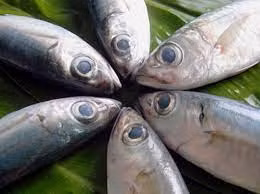 Mắt và mang cá là một chỉ số quan trọng để đánh giá tình trạng tươi ngon. Mắt trong suốt, sáng bóng và mang cá đỏ tươi là dấu hiệu của cá tươi.