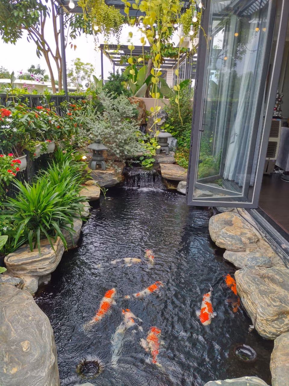 Trong biệt thự có hồ cá Koi thiết kế bằng đá tự nhiên với chi phí hơn 1 tỷ đồng.