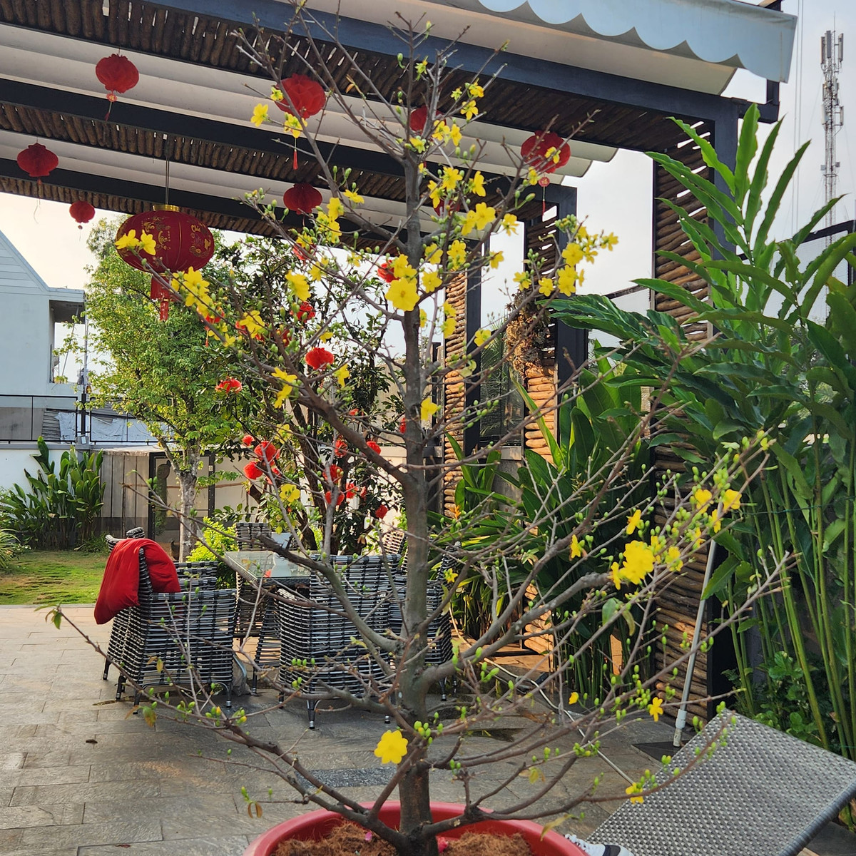 Khu sân vườn được bày biện nhiều bàn ghế để Quách Thành Danh tiếp đón bạn bè, không khác nào một quán cà phê. Ảnh: FBNV