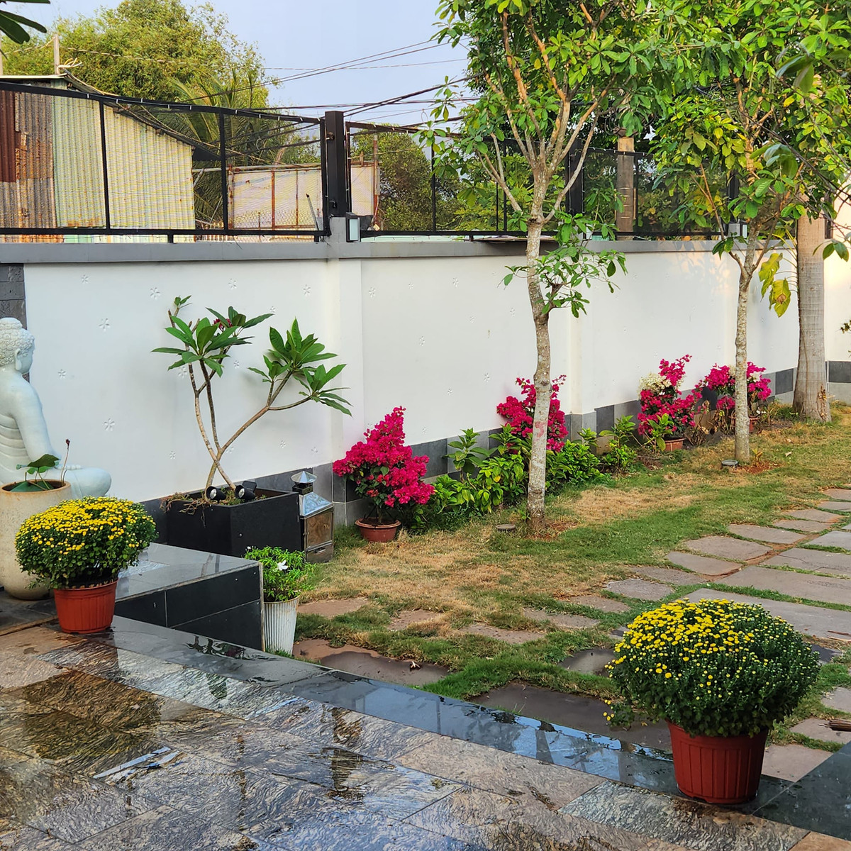 Trong sân vườn, nam ca sĩ trồng nhiều cây xanh và trang trí nhiều chậu hoa đẹp mắt. Ảnh: FBNV