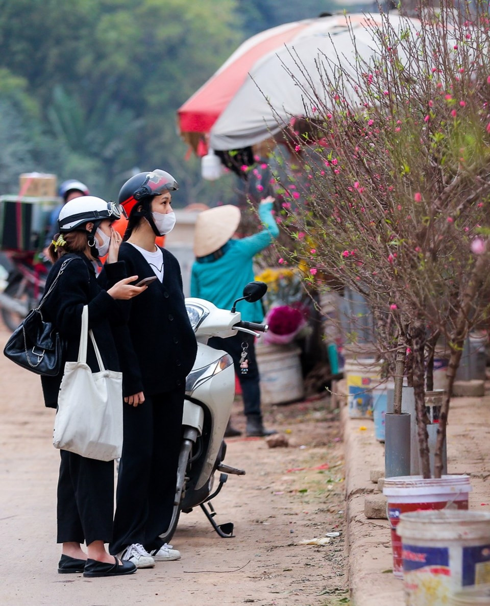 Nhiều bạn trẻ tham quan đào sớm tại chợ Quảng An. Ảnh: Kinhtedothi