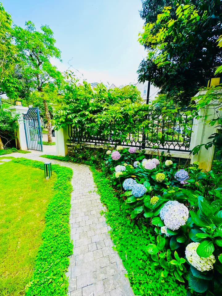 Khu vực sân vườn được tô điểm bằng nhiều cây xanh và hoa tươi. Ảnh: FB Lã Thanh Huyền