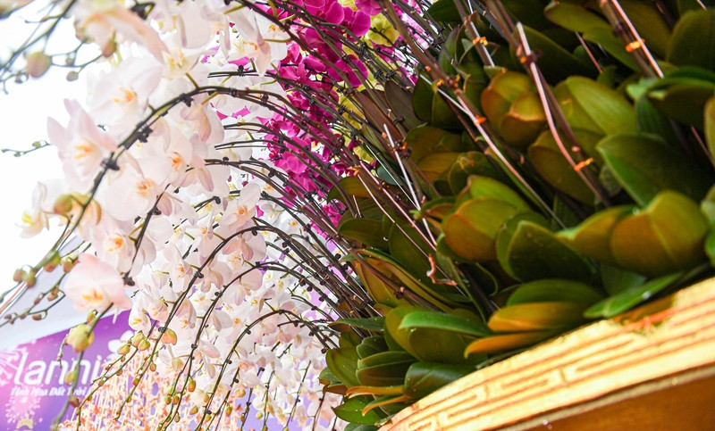 Để ghép được hoa vào chậu cân đối, đều, đẹp, đơn vị thực hiện cần 5-6 người thợ lành nghề. Ảnh: Dân trí