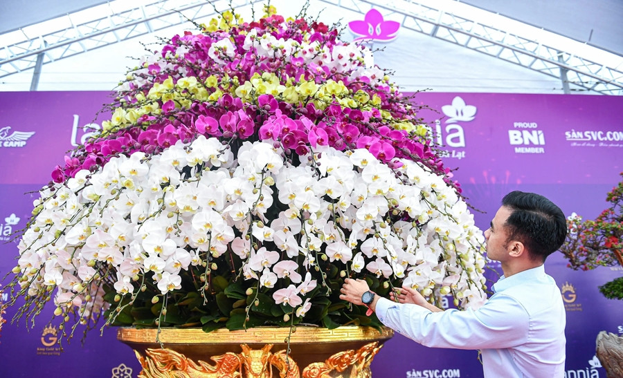 Chậu lan hồ điệp sử dụng 9 màu hoa lan và cao 9 tầng. Ảnh: Dân trí