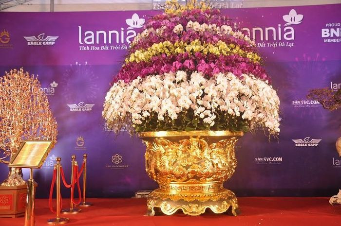Chậu lan cao khoảng 5m, tán rộng gần 2m, được kết bởi 2686 bông hoa, nặng hơn 2 tấn. Ảnh: Người đưa tin