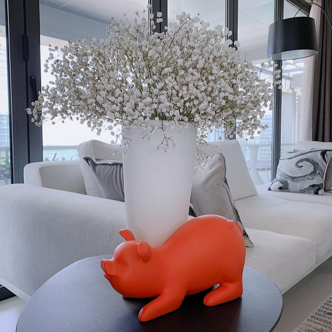 Không gian phòng khách ngập tràn ánh sáng nhờ hệ cửa kính lớn.