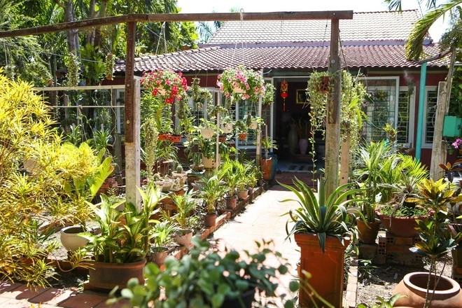 Ca sĩ Phi Hùng trồng nhiều cây ăn quả và cây cảnh trong vườn. Ảnh: Znews