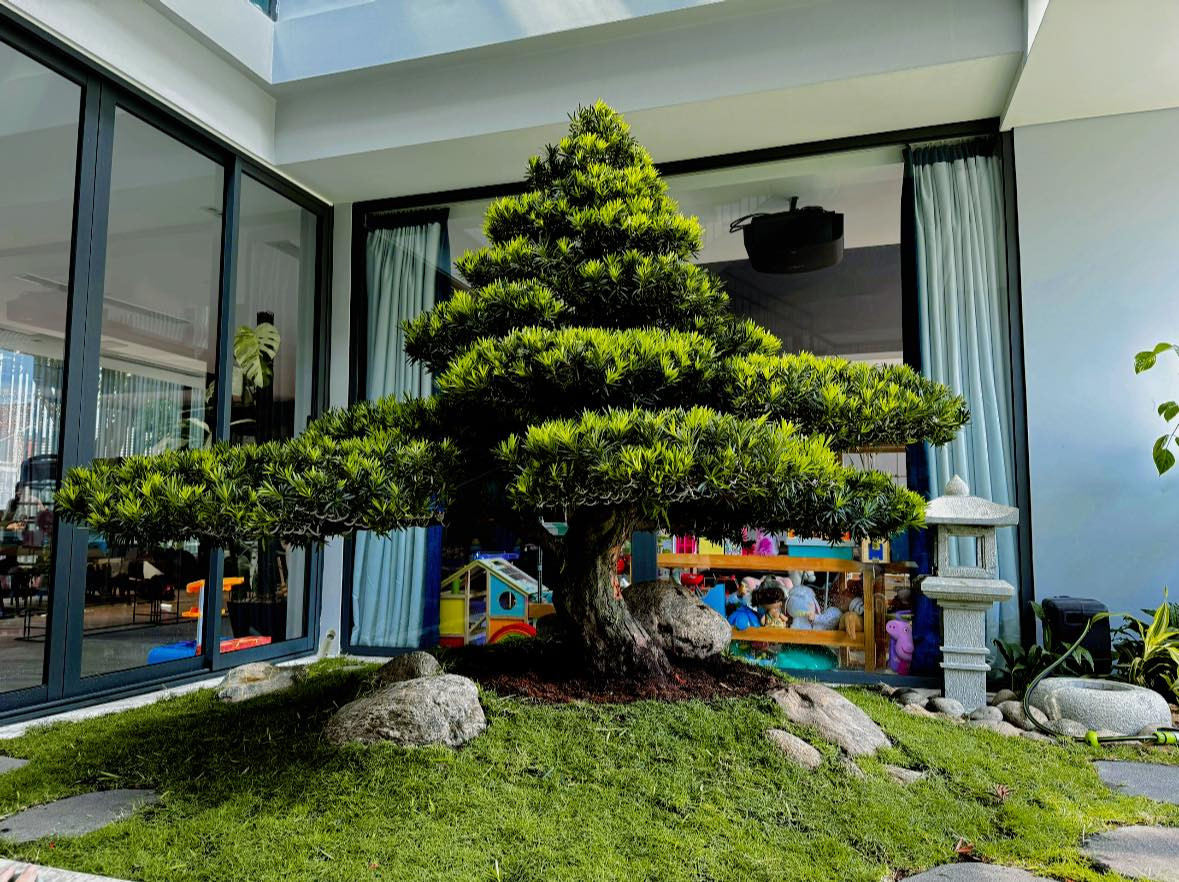 Cây cảnh là yếu tố không thể thiếu trong căn biệt thự.