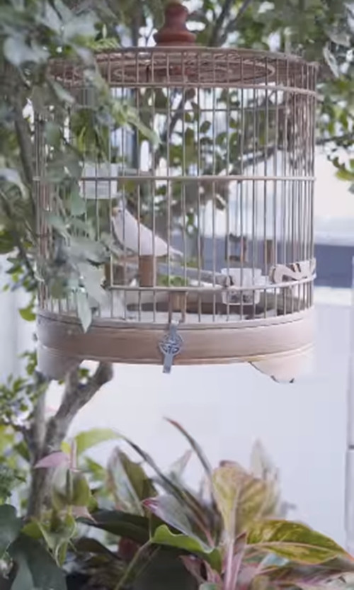 Chiếc lồng chim xinh xắn được treo trên cây.