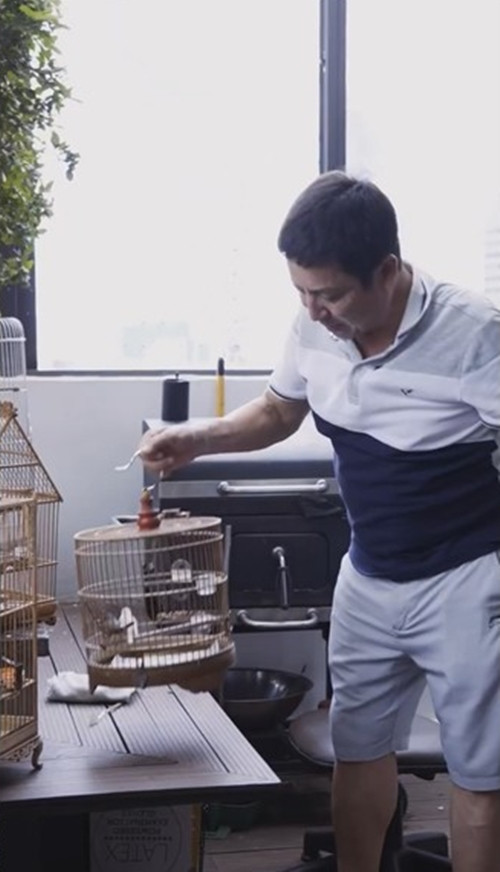Tại đây, nam nghệ sĩ đặt một bàn làm việc dọc theo tường và nhiều lồng chim xung quanh.