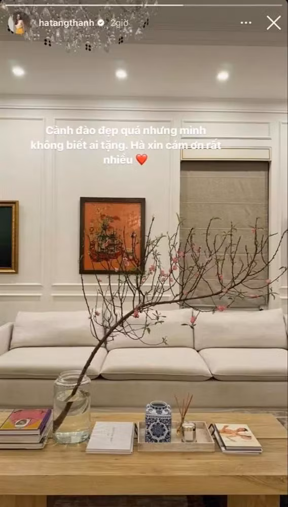 Ngày Tết, biệt thự của Tăng Thanh Hà cũng không thể thiếu hoa đào.