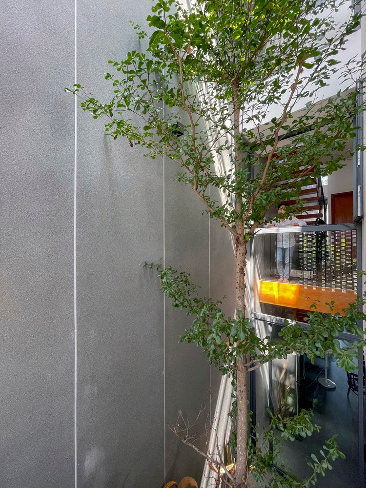 Tất cả sự ngột ngạt thường thấy của một dãy nhà hẹp đều bị loại bỏ.