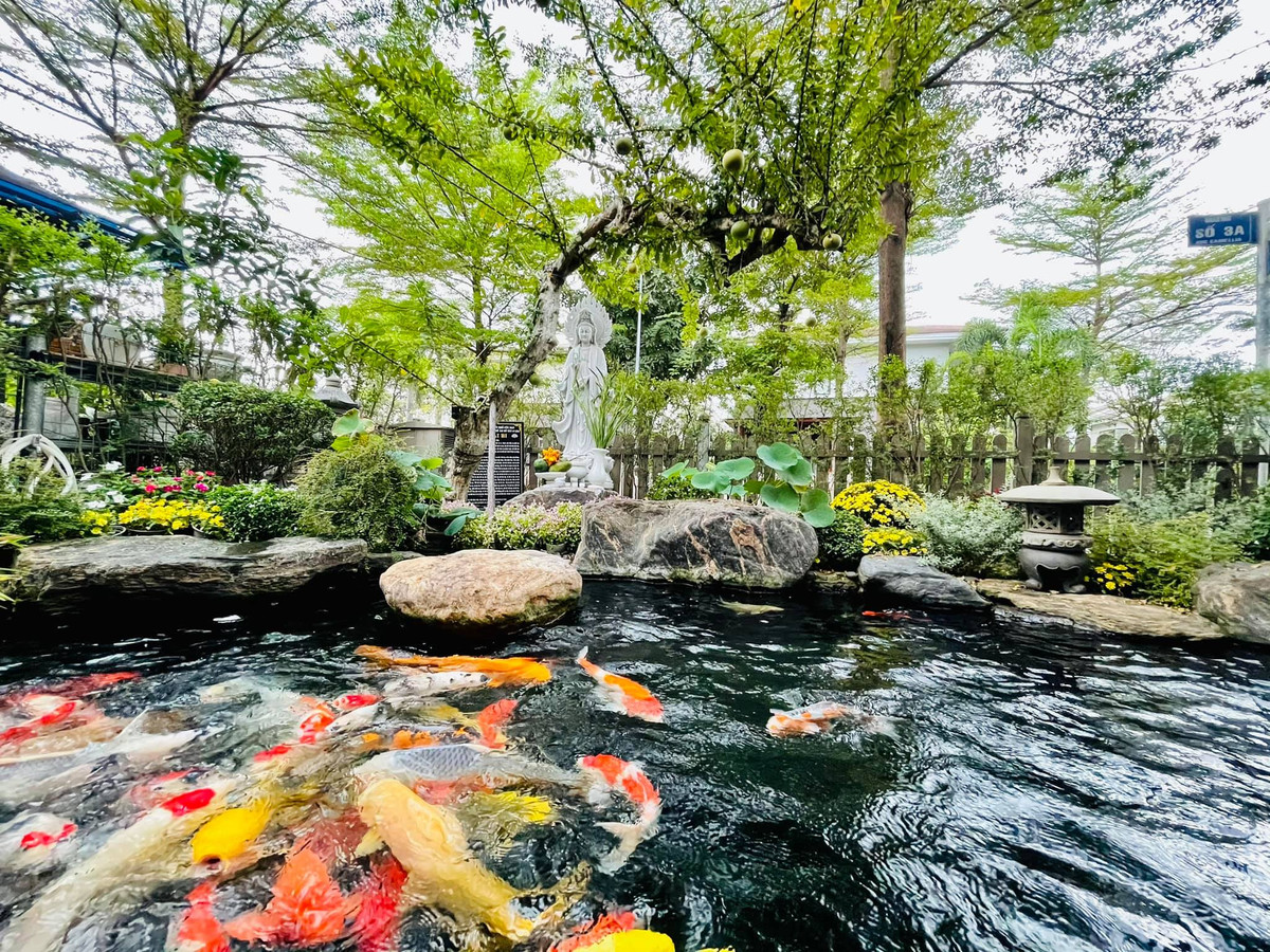 Ngoài sân vườn rực rỡ sắc hoa, trong khuôn viên biệt thự còn có hồ cá Koi tạo cảm giác thanh tịnh. Ảnh: FB Nhật Kim Anh