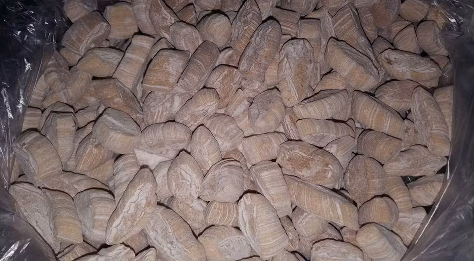 Thời xưa, 100 đồng đã từng mua được rất nhiều kẹo bột, vài quả bóng bay... Ảnh: Internet