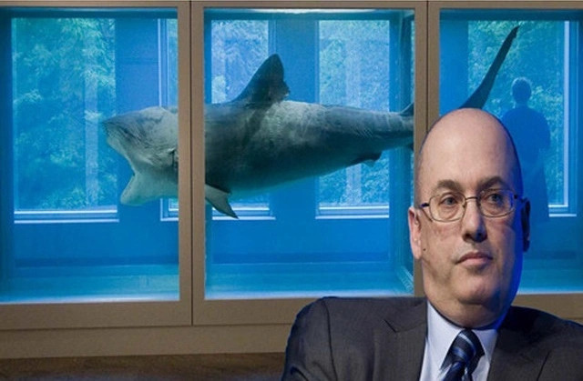 Năm 2004, tỷ phú người Mỹ, Steve Cohen mua xác của một con cá mập hổ với chiều dài 4,2 mét để làm vật trưng bày cho ngôi nhà của mình. Ông đã bảo quản con vật quý hiếm trên trong một chiếc bể kính chuyên dụng cùng với hỗn hợp rượu và các hợp chất formaldehyd.