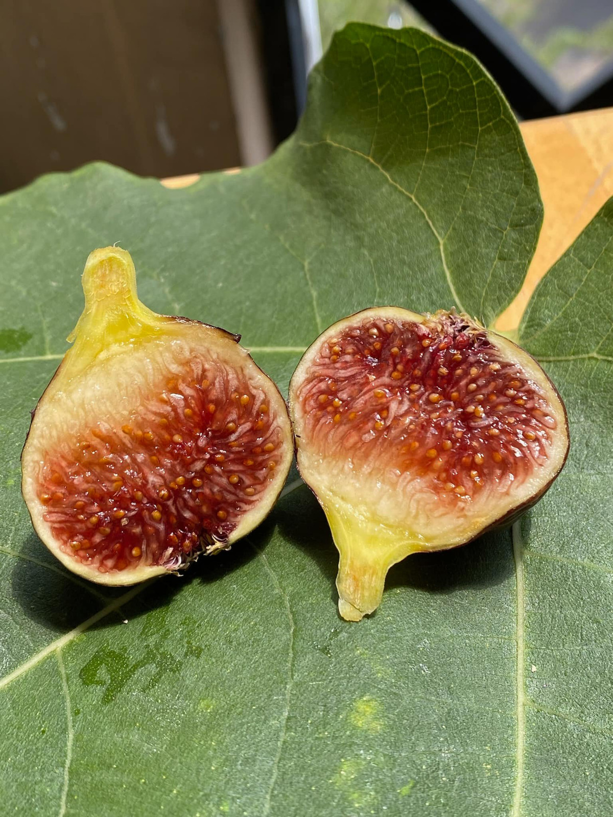 Đặc biệt, khi sung vừa chín ăn có vị ngọt thanh rất. Khi chín tới bên trong quả sẽ chảy mật ra (giống như kiểu mật trong khoai lang) ăn ngọt đậm đà. Ảnh: Facebook