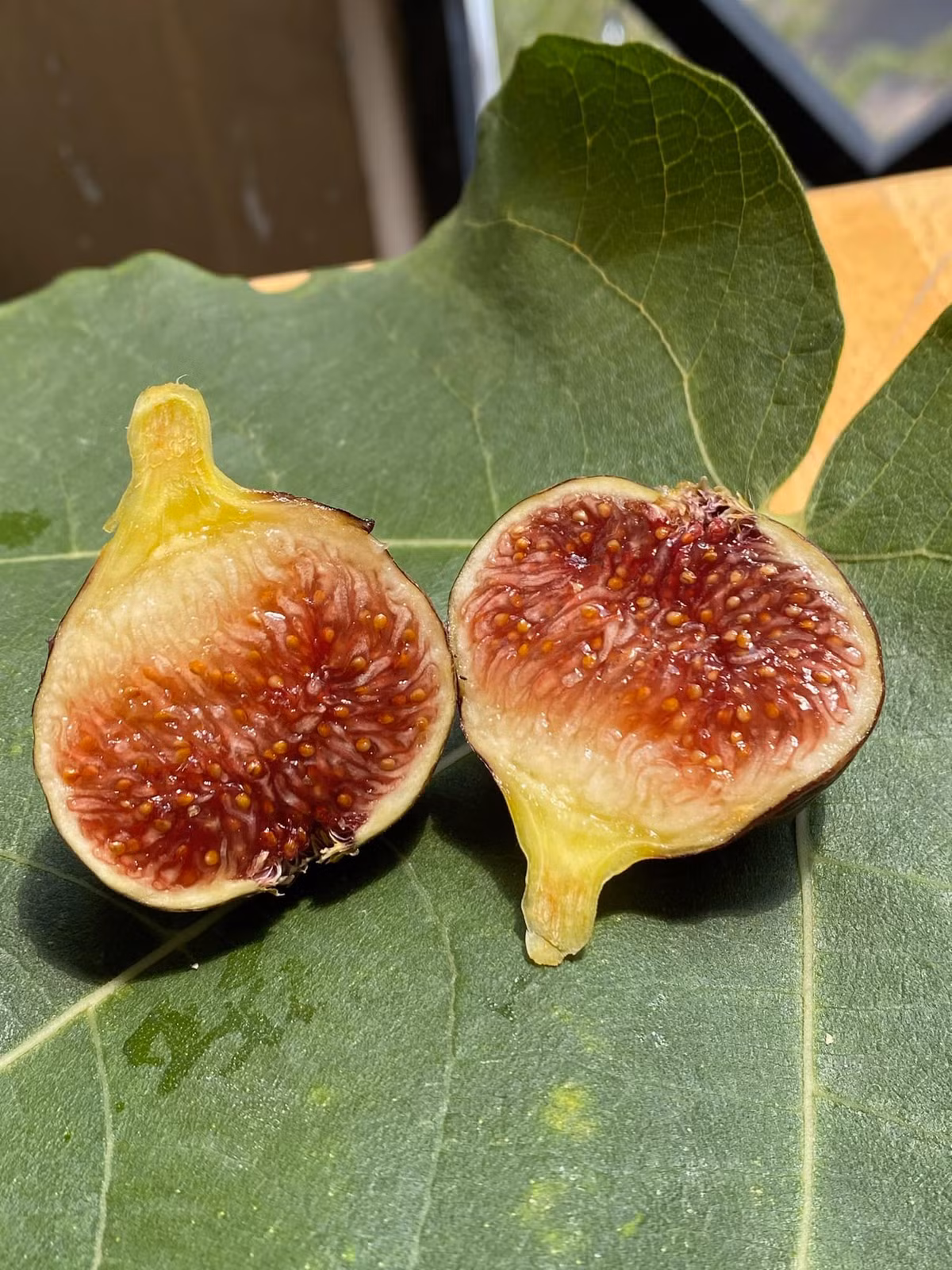 Đặc biệt, khi sung vừa chín ăn có vị ngọt thanh rất. Khi chín tới bên trong quả sẽ chảy mật ra (giống như kiểu mật trong khoai lang) ăn ngọt đậm đà. Ảnh: Facebook