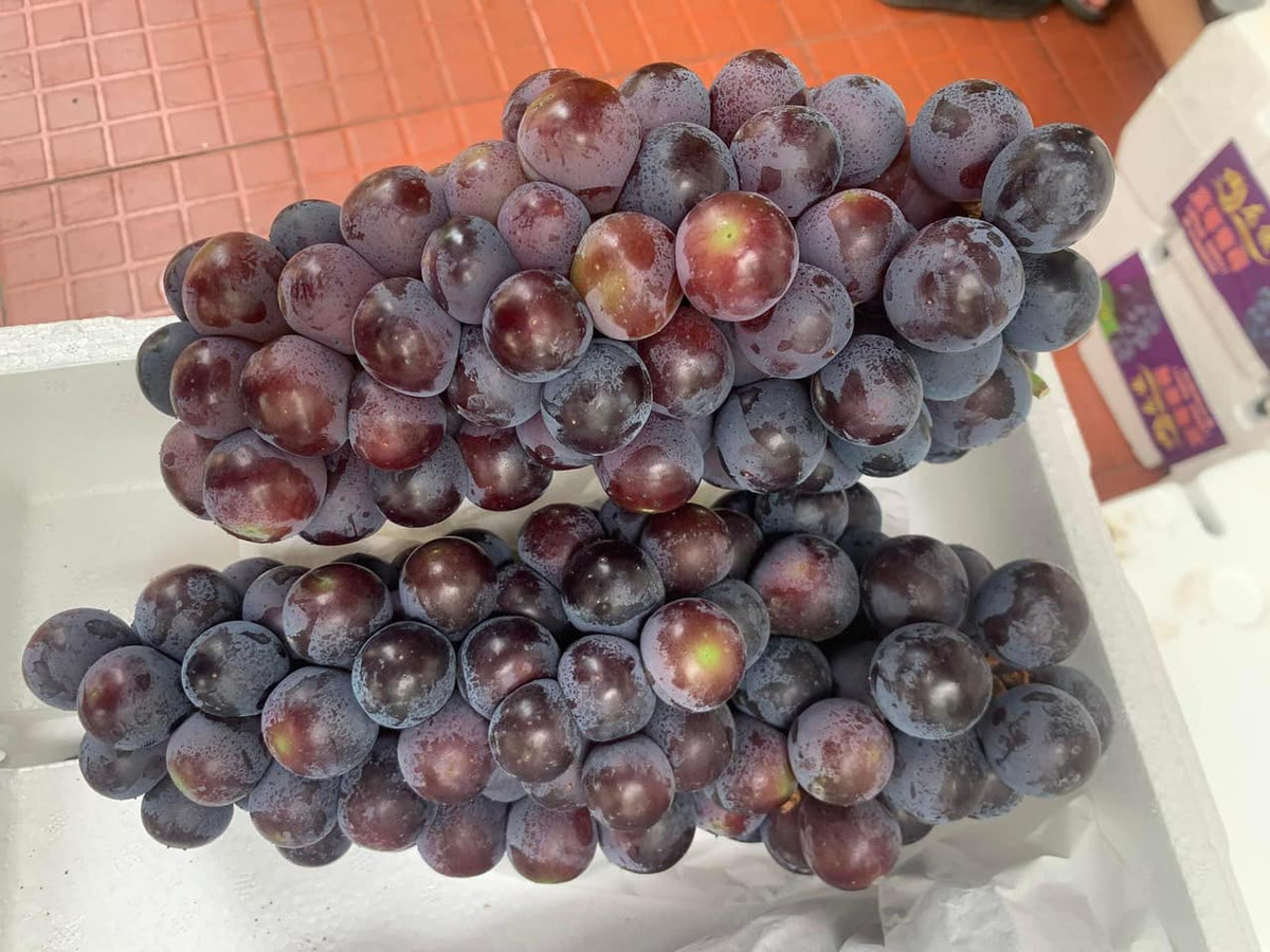 Dừng lại hỏi, chị Duyên được người bán cho biết, loại nho bắp đen đẹp, cuống tươi, còn nguyên phấn bám bên ngoài giá 30.000 đồng/kg. Ảnh; FB Thuy Đỗ