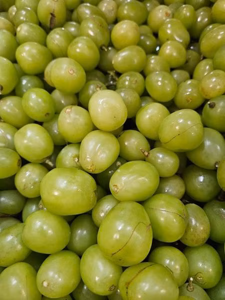 Anh Khương (một đầu mối buôn hoa quả tại chợ Long Biên) cho biết, nho giá rẻ đang bán rầm rộ các chợ là nho nhập khẩu từ Trung Quốc. Ảnh: Fcebook