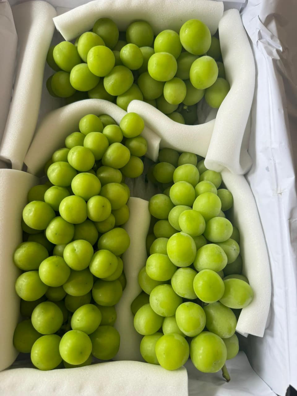 Đáng chú ý, nhiều loại nho nhập khẩu có giá thấp hơn cả rau khiến nhiều người bất ngờ. Ảnh: FB Yến Chi