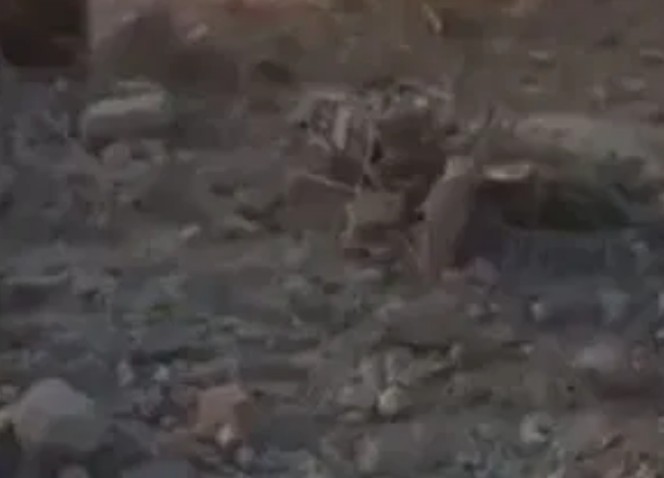 Lầu Năm Góc khẳng định kết quả xét nghiệm ADN cho thấy tên al-Baghdadi chính xác đã bị tiêu diệt.