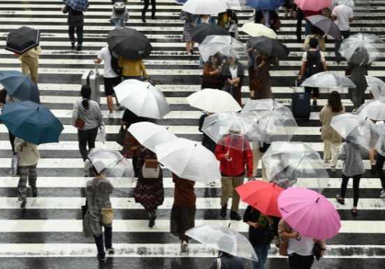 Khung khiep suc tan pha cua sieu bao Hagibis o Nhat-Hinh-5