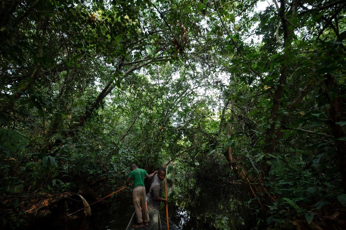 Ông ở lại một cái chòi trên sông Congo, sau đó lang thang khắp trong rừng cả ngày để tìm "con mồi" như khỉ, linh dương, cá sấu, trăn và lợn rừng...